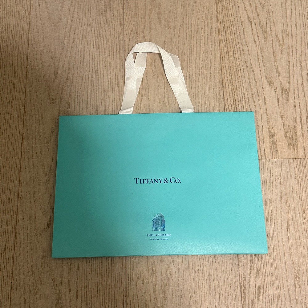 Tiffany & Co. Aqua Blue Gift Bag with White Handles - Picture 2 of 3